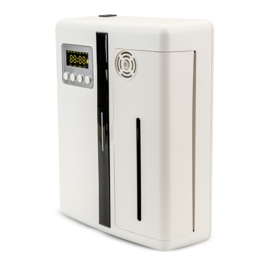 PHOTO-2024-08-06-20-05-24-3