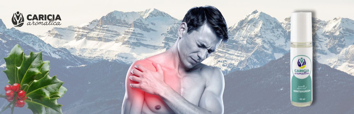 El Secreto de las Montañas: Por qué el Wintergreen es el «Rescatador» que tus Músculos Gritan