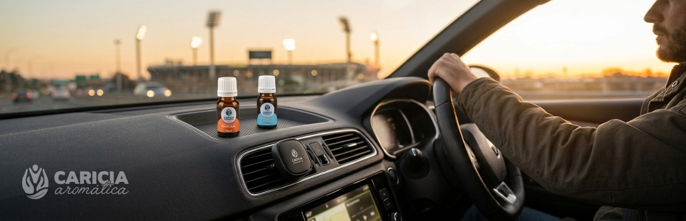 Difusor auto mundial: El viaje al estadio comienza en el coche 🚗⚽